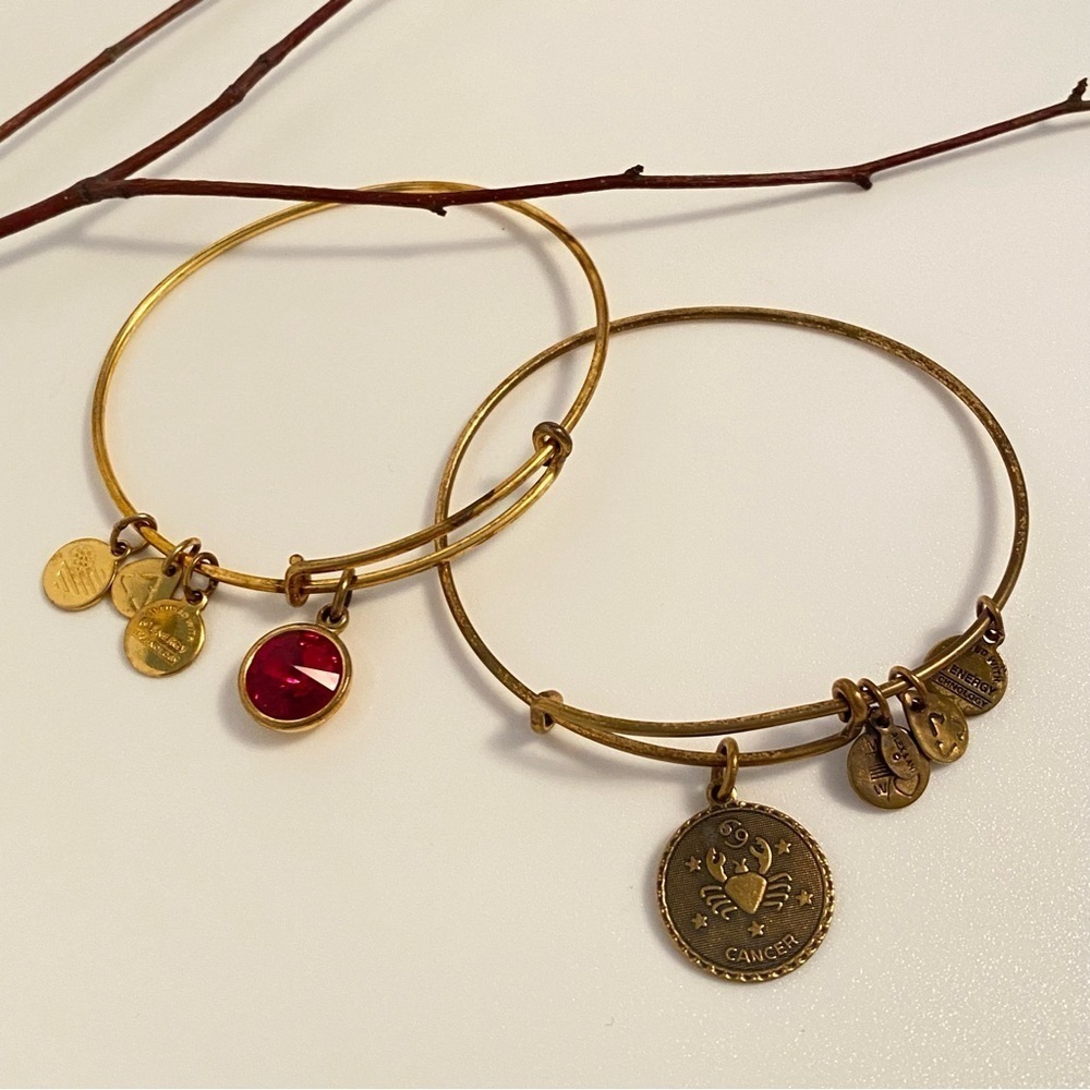 Alex And Ani July Ruby Birthstone & Cancer Zodiac Sign Gold-Tone Charm Bangles